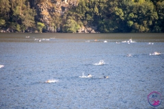 Travesia-Lago-Sanabria-2021-18