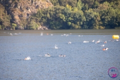 Travesia-Lago-Sanabria-2021-19