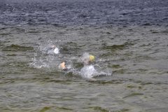 DSC00961