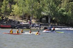 DSC0194