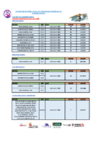 Resumen FFAA Infantil Artística