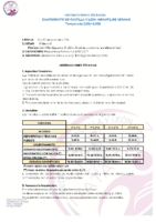 INSTRUCCIONES TÉCNICAS C.C.yL. Inf. Ver. 25
