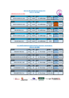 3. Resumen Cto. España AA Ibiza 2026