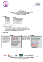N.13 Liga Alevín-Benjamín-Prebenjamín